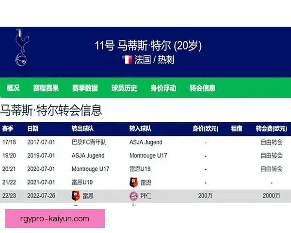 尼斯战术解析：球队在新赛季中表现稳健，战术逐渐成熟与对手的竞争力增强。